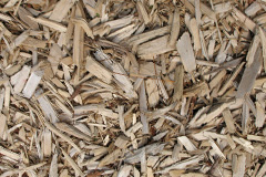 biomass boilers Mudd