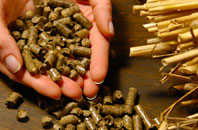 free Mudd biomass boiler quotes